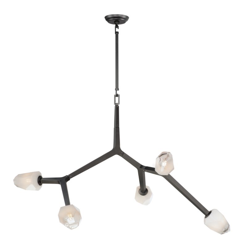 Blossom 35.75' 5 Light Multi-Light Pendant in Black