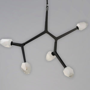 Blossom 35.75' 5 Light Multi-Light Pendant Suspension Pendant in Black