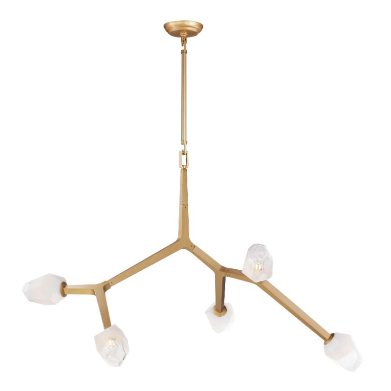 Blossom 35.75' 5 Light Multi-Light Pendant in Natural Aged Brass