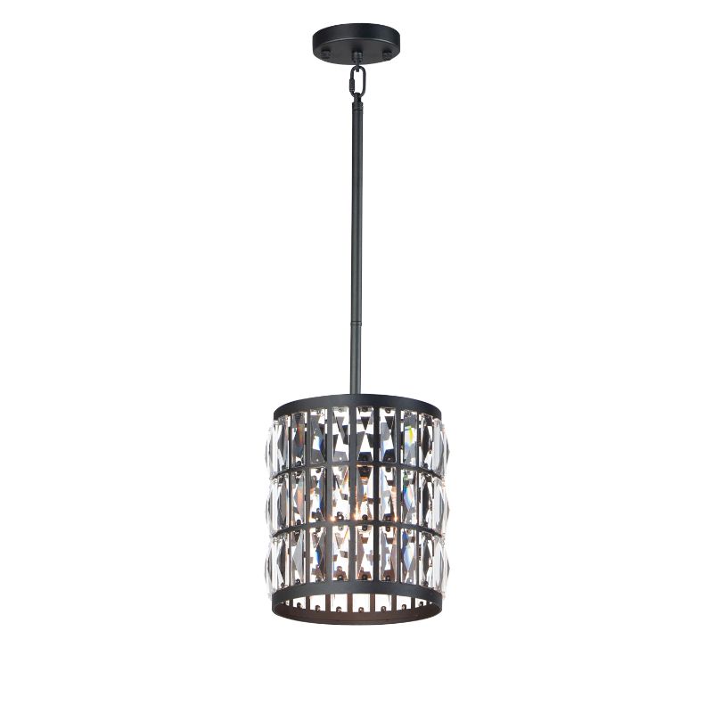 Madeline 10' Single Light Mini Pendant in Black