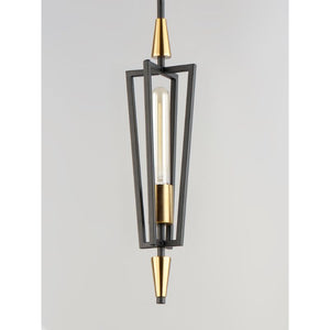 Wings 4.75' Single Light Suspension Pendant in Black and Satin Brass