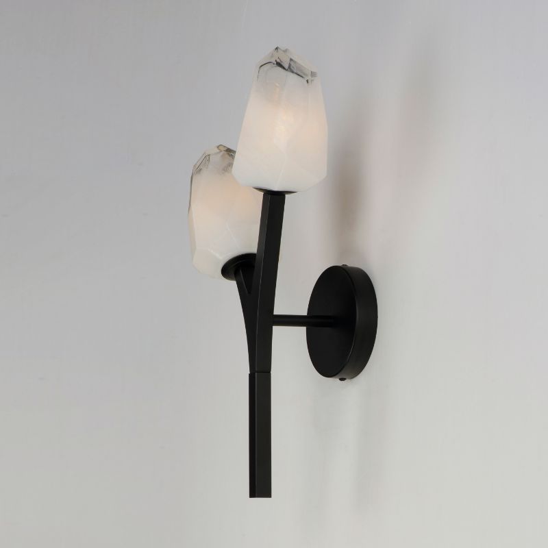 Blossom 18.75' 2 Light Wall Sconce in Black