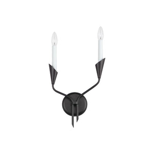 Calyx 17' 2 Light Wall Sconce in Black
