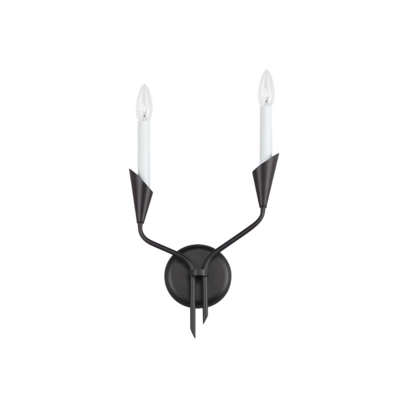Calyx 17' 2 Light Wall Sconce in Black