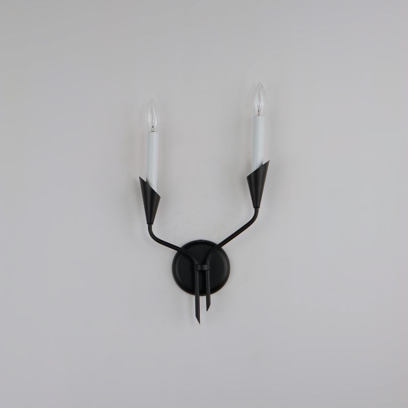 Calyx 17' 2 Light Wall Sconce in Black