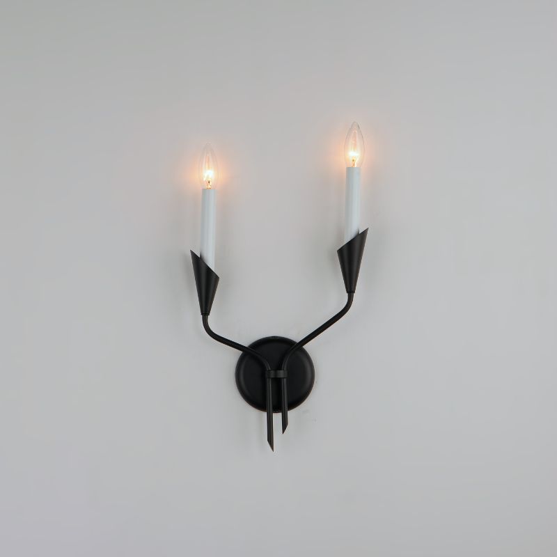 Calyx 17' 2 Light Wall Sconce in Black