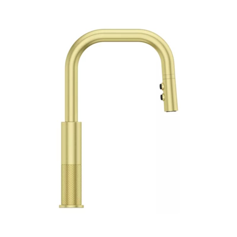 Montay Single-Handle Pull-Down Kitchen Faucet in Brushed Gold