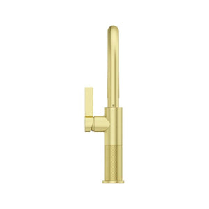 Montay Single-Handle Pull-Down Kitchen Faucet in Brushed Gold