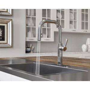 Montay Single-Handle Pull-Down Kitchen Faucet in Polished Chrome