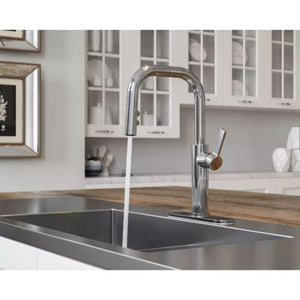 Montay Single-Handle Pull-Down Kitchen Faucet in Polished Chrome