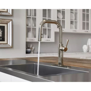 Montay Single-Handle Pull-Down Kitchen Faucet in Polished Nickel