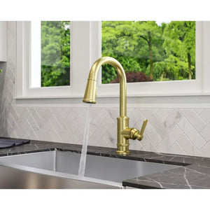Port Haven Single-Handle Pull-Down Kitchen Faucet in Brushed Gold