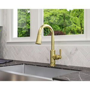 Port Haven Single-Handle Pull-Down Kitchen Faucet in Brushed Gold