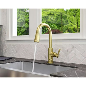 Port Haven Single-Handle Pull-Down Kitchen Faucet in Brushed Gold