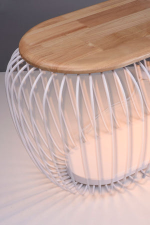 18.25' Tall Cage Decor Item in White / Navaho White