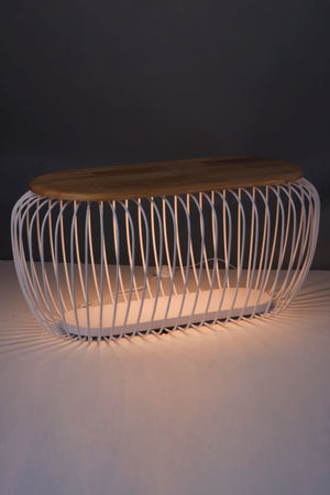 18.25' Tall Cage Decor Item in White / Navaho White