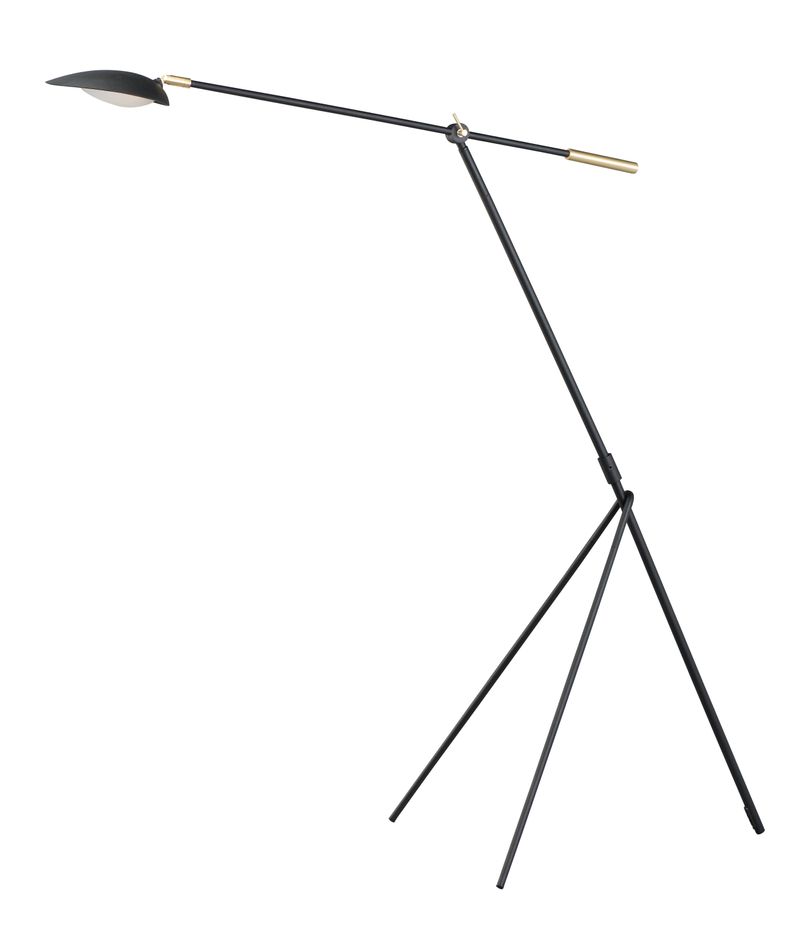 Scan 60.5' Floor Lamp in Black and Satin Brass
