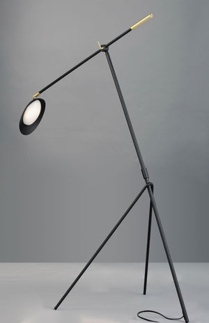 Scan 60.5' Floor Lamp in Black and Satin Brass