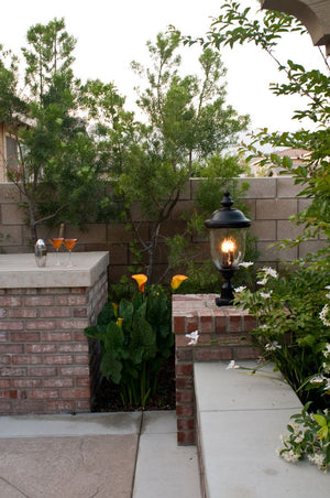 Carriage House DC 9' 2 Light Outdoor Wall Mount Light in Oriental Bronze with 6' Backplate
