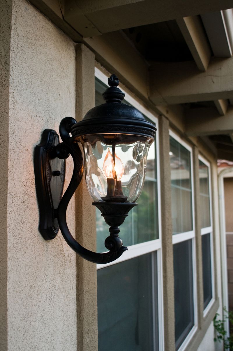 Carriage House DC 9' 2 Light Outdoor Wall Mount Light in Oriental Bronze with 6' Backplate