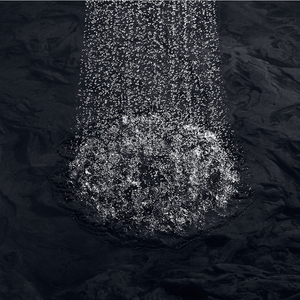 Margaux 2.5 gpm Showerhead in Vibrant French Gold