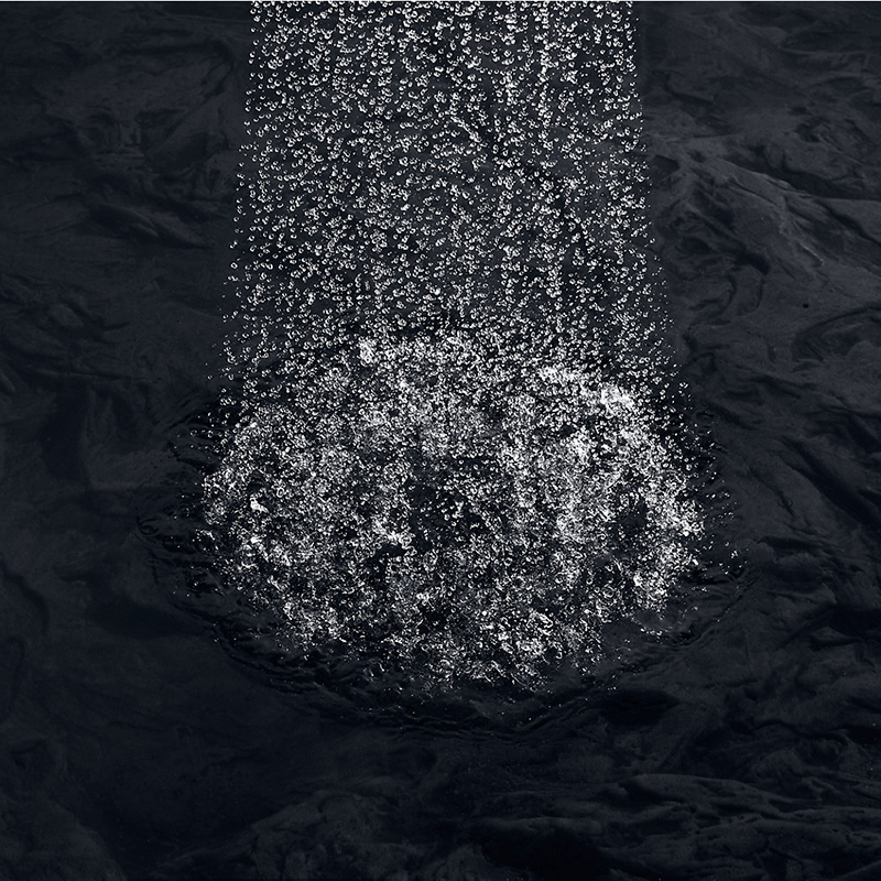 Margaux 2.5 gpm Showerhead in Vibrant Polished Nickel