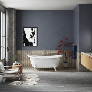 Artifacts 66.13' Enameled Cast Iron Freestanding Bathtub in White