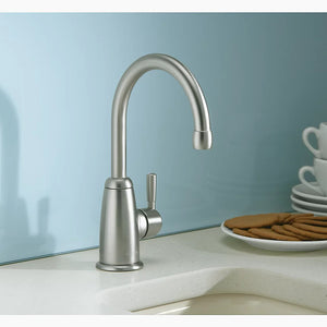 Wellspring Water Dispenser Kitchen Faucet in Vibrant Brushed Moderne Brass