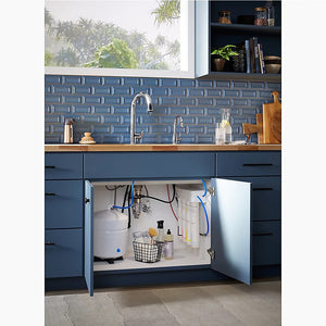 Wellspring Water Dispenser Kitchen Faucet in Matte Black