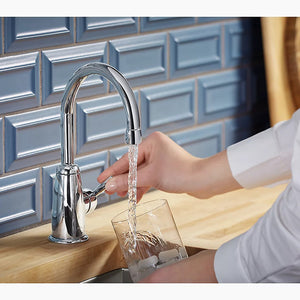 Wellspring 8.63' Water Dispenser Kitchen Faucet in Polished Chrome