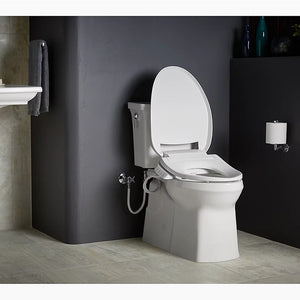 C3-420 Elongated Electronic Bidet Seat in White