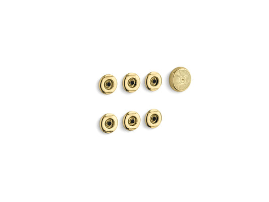 Flexjet Vibrant Polished Brass Whirlpool Trim Kit with 6 Jets (10.25" x 7" x 4.75")