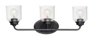 Acadia 25' 3 Light Bath Vanity Light in Black