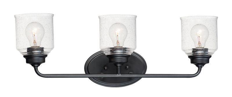 Acadia 25' 3 Light Bath Vanity Light in Black