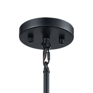Caldwell 10' 1 Light Mini Pendant in Matte Black