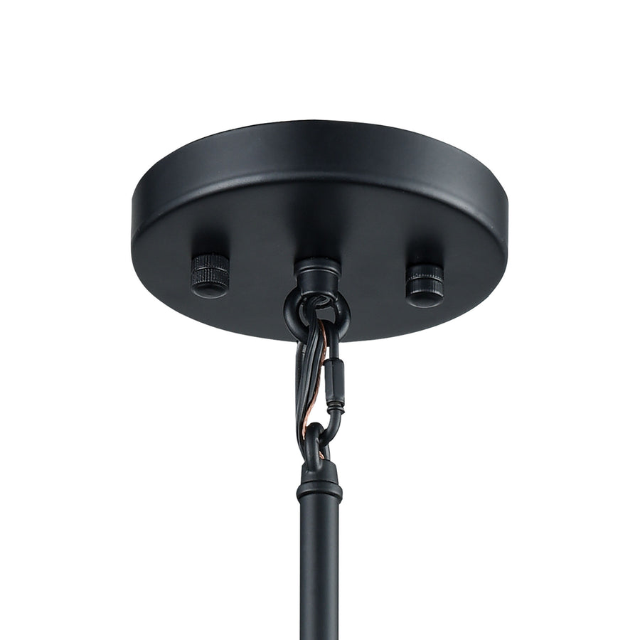 Caldwell 10' 1 Light Mini Pendant in Matte Black