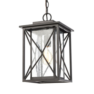Carriage Light 1 Light Pendant in Matte Black
