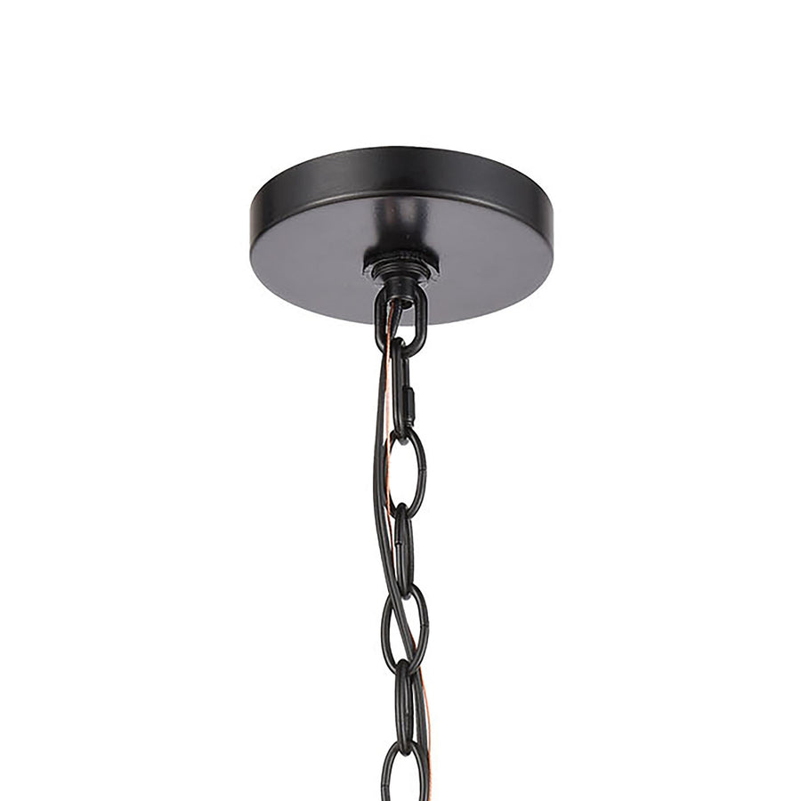 Carriage Light 1 Light Pendant in Matte Black