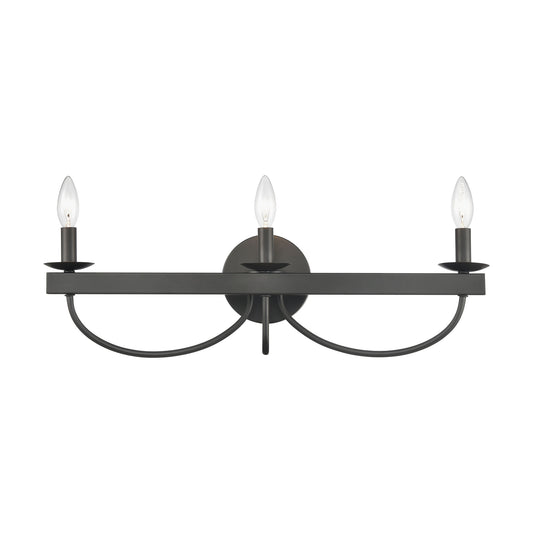 Williamson 24" 3 Light Vanity Light in Black