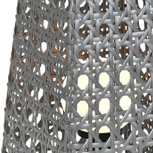 Carus 27' Table Lamp in Gray