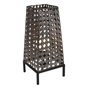 Carus 32' Table Lamp in Gray