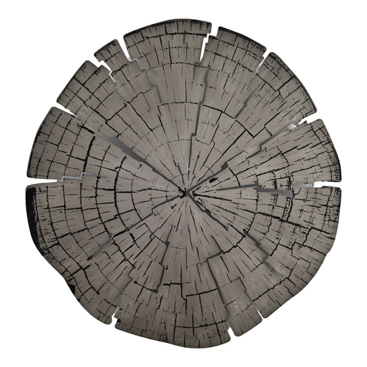 Moe's Home Rings Wall Sculpture in Silver (36" x 36" x 2.5") - JQ-1003-37
