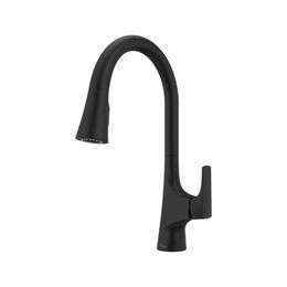 Pull-Down Single-Handle Faucet