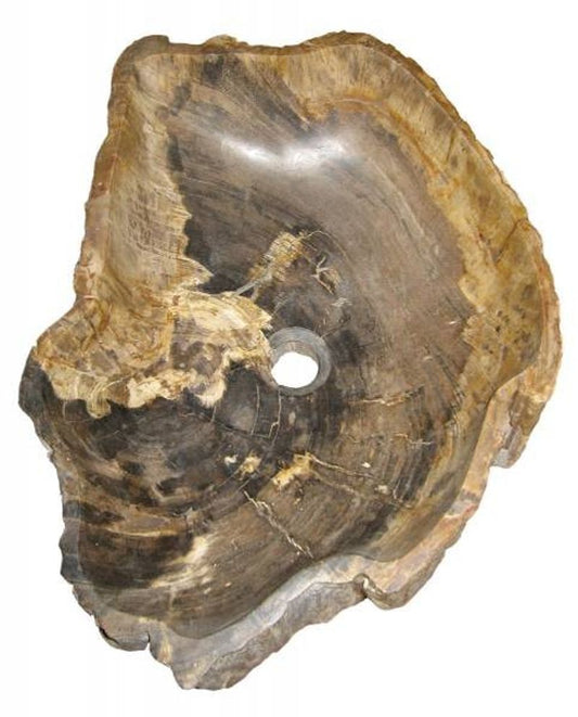 Petrified Wood Vessel Bathroom Sink from Wauld Collection