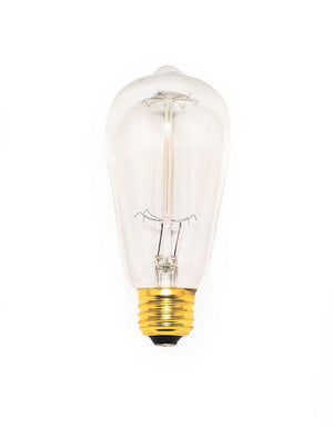 2.2' 40 W Incandescent Light Bulb with Clear Finish
