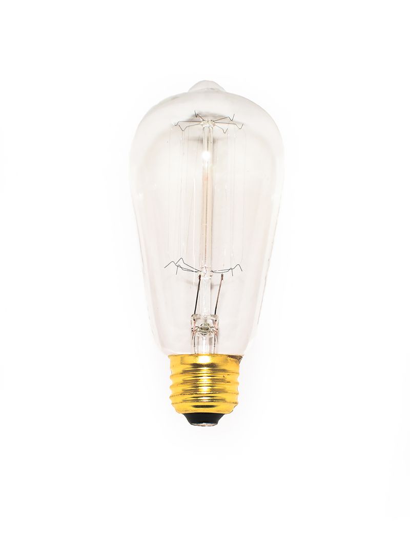 2.2' 40 W Incandescent Light Bulb with Clear Finish