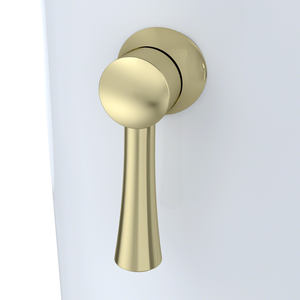 Trip Lever Push Button in Polished Brass