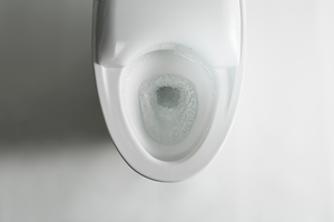 Neorest NX1 Elongated Dual-Flush Integrated Bidet Seat One-Piece Toilet in Cotton White