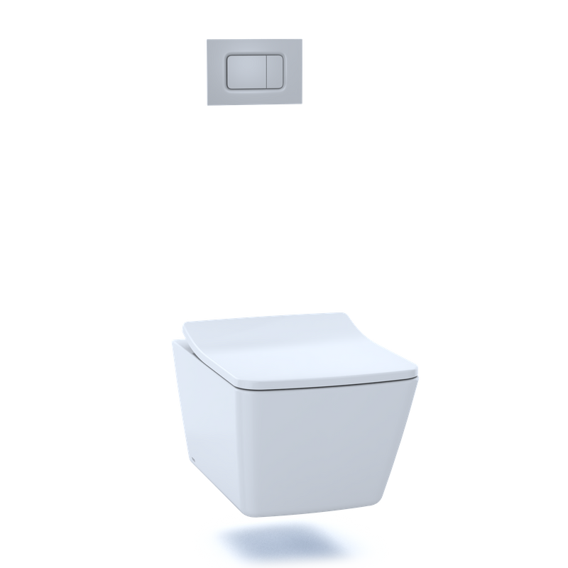 DuoFit In-Wall Dual-Flush Toilet Tank