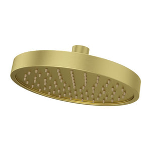 Contempra Showerhead in Brushed Gold